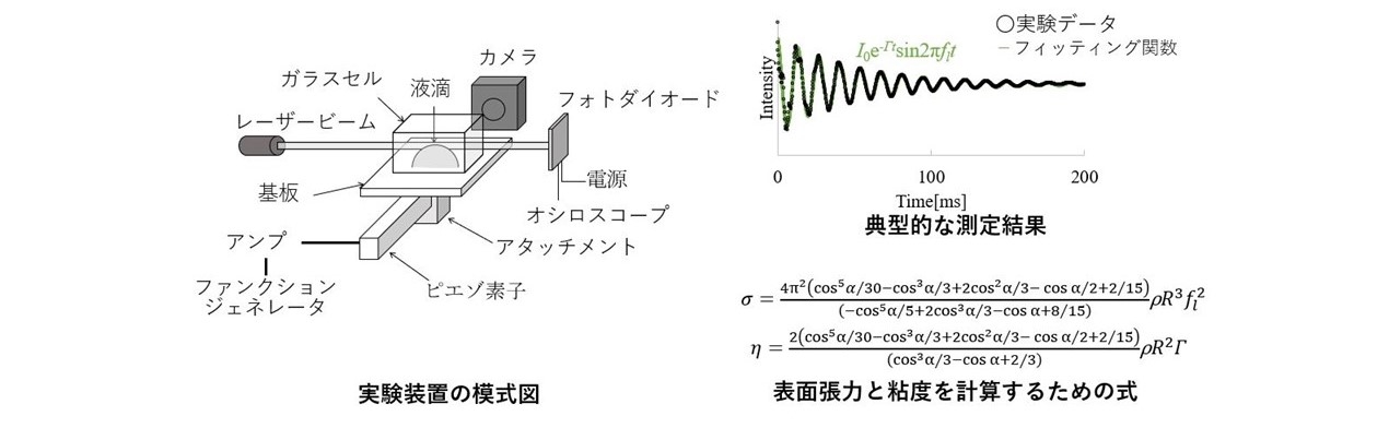 実験装置や検証データ画像