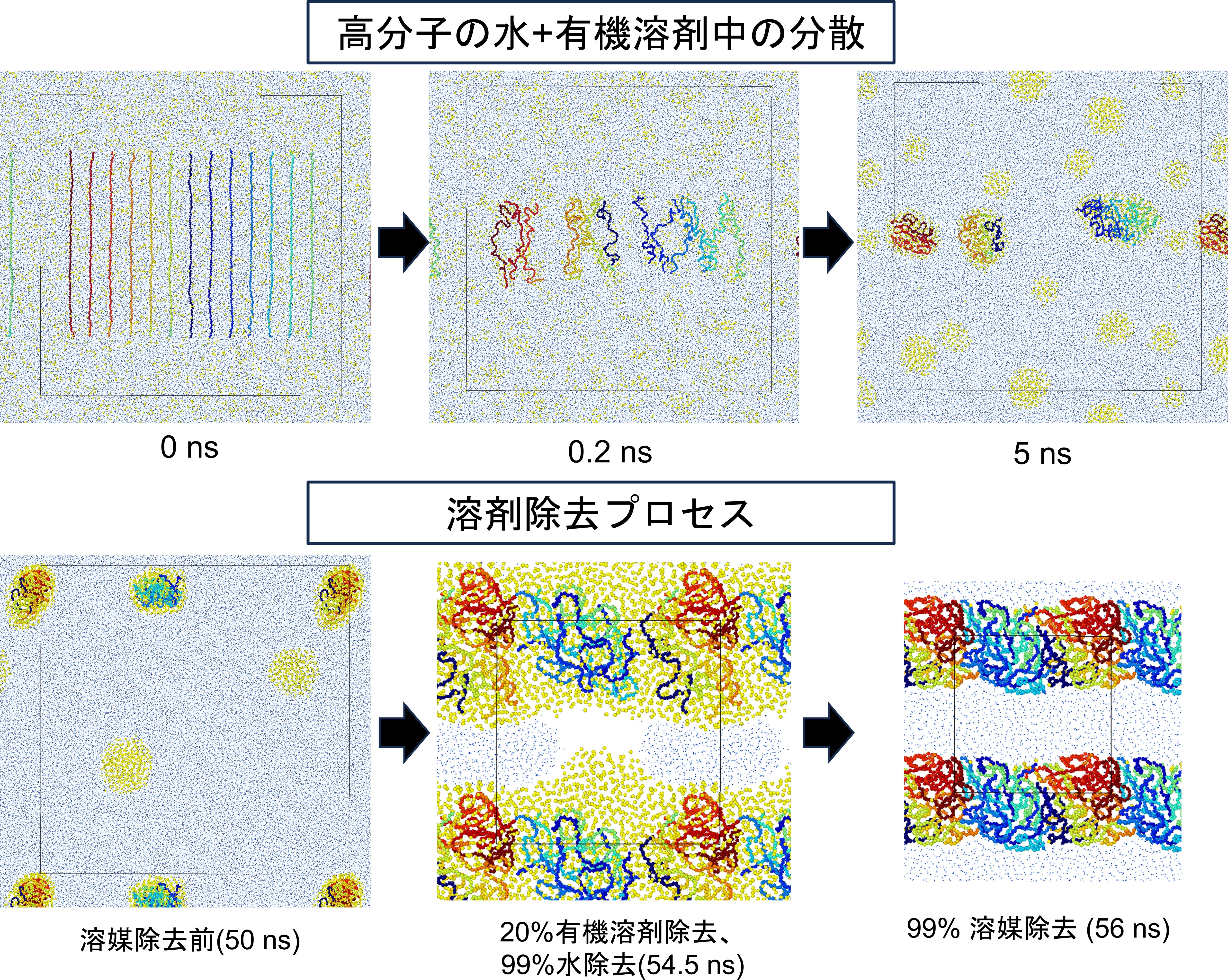 高分子の溶媒中・溶媒除去中の凝集の分子動力学シミュレーション