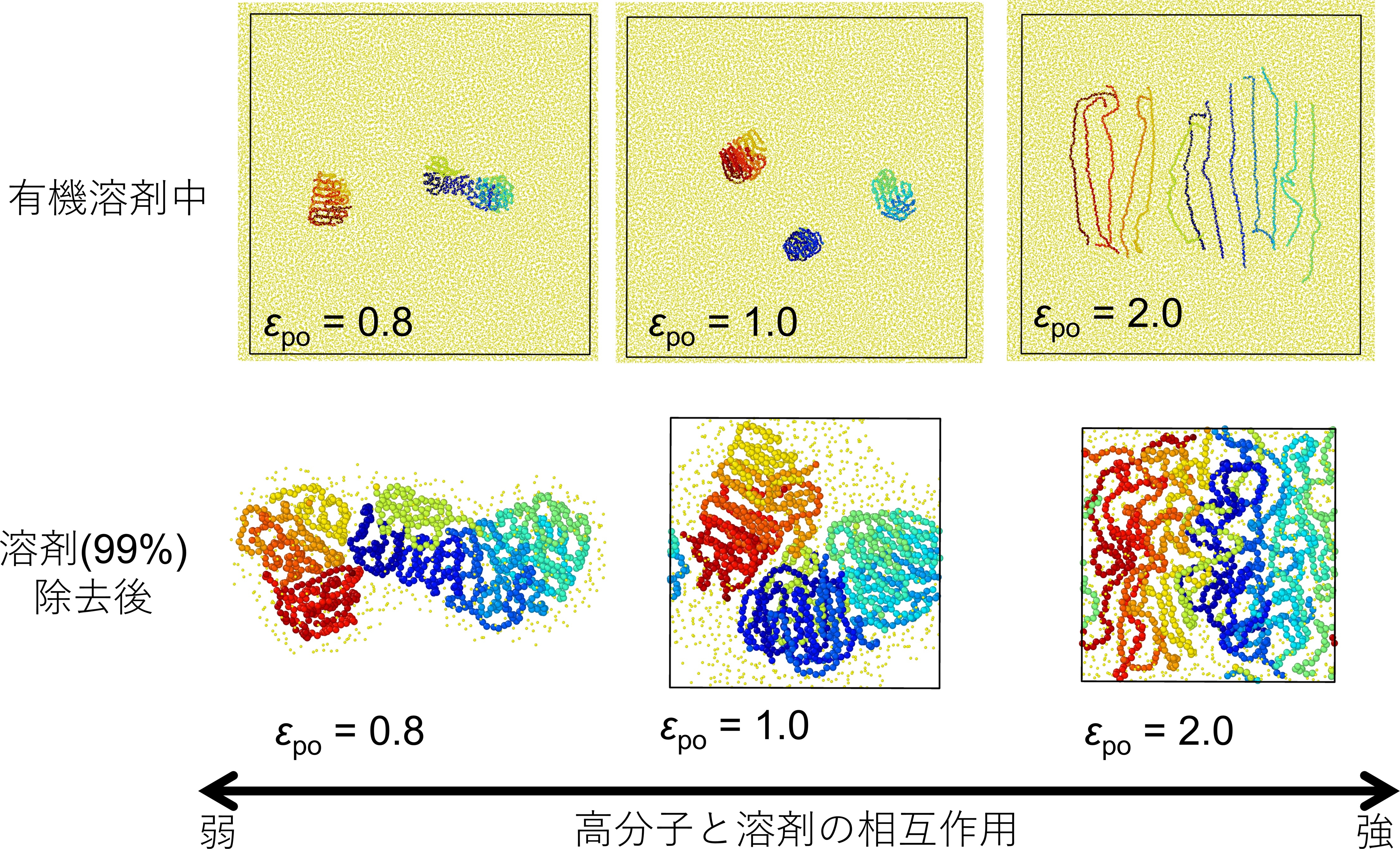 図1：単一溶媒中の高分子の分散と溶媒除去後の様子