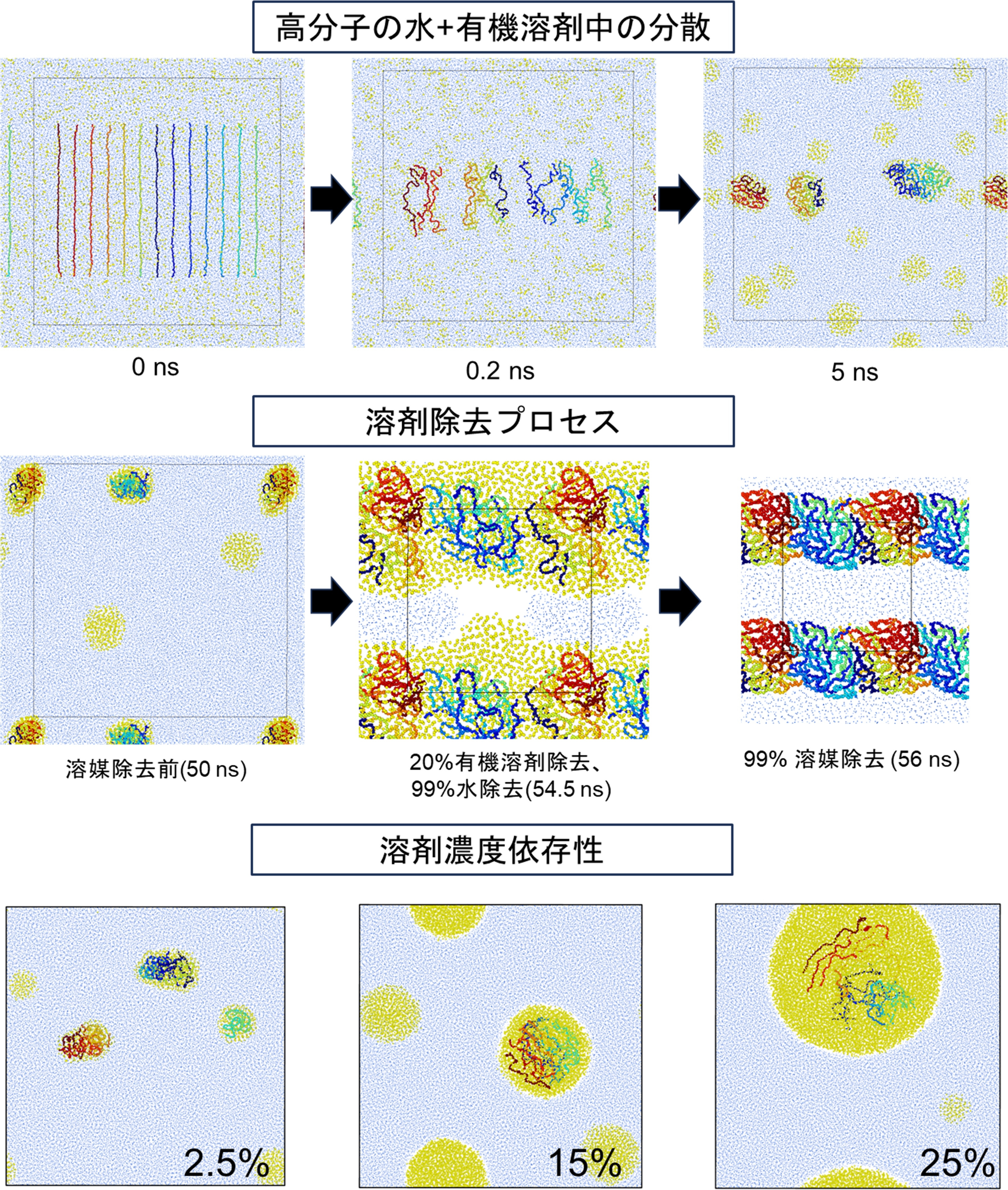 図2：水・有機溶剤混合液中の高分子の分散・凝集の様子及び高分子分散の有機溶剤濃度依存性