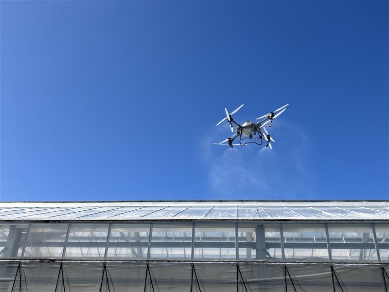 ビニールハウスにドローンを使って、遮熱塗料を散布している様子