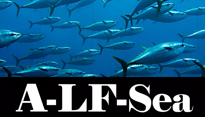 低燃費型船底防汚塗料A-LF-Sea