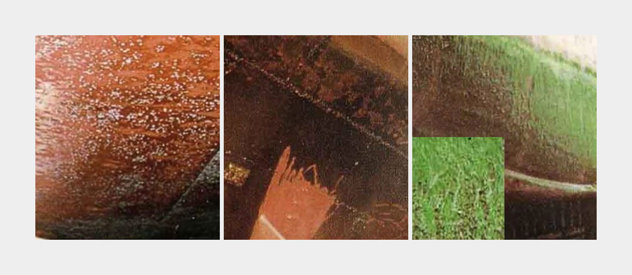 Photo (from left to right): Vessel’s hull with barnacles, slime, and algae