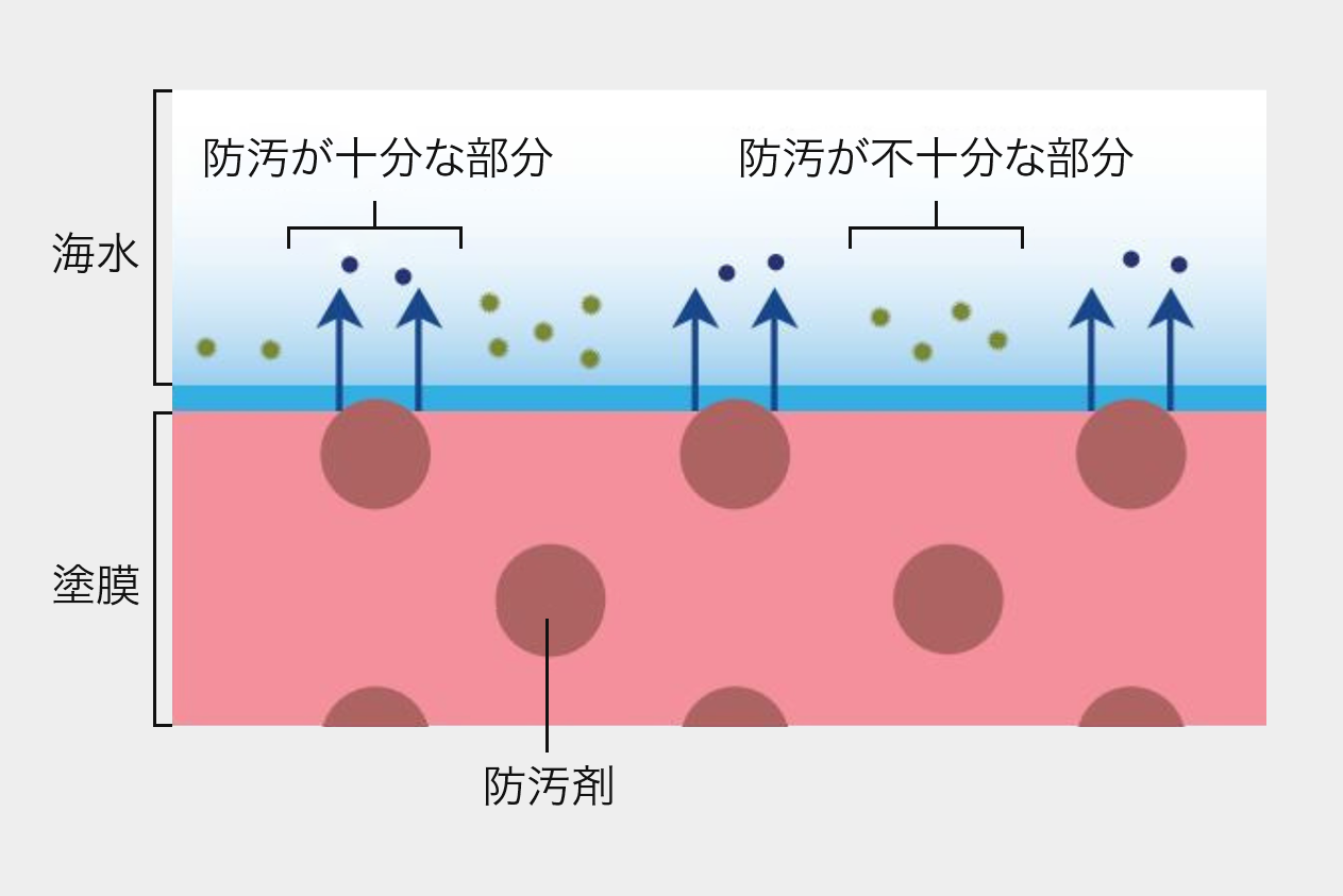 一般的な自己研磨型塗料の防汚メカニズムのイメージ