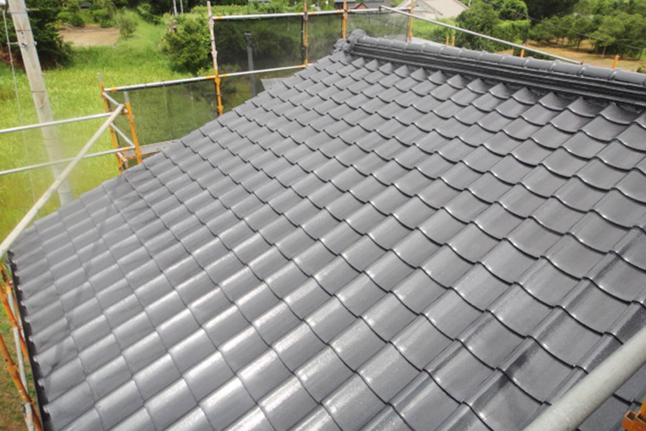 Painted roof