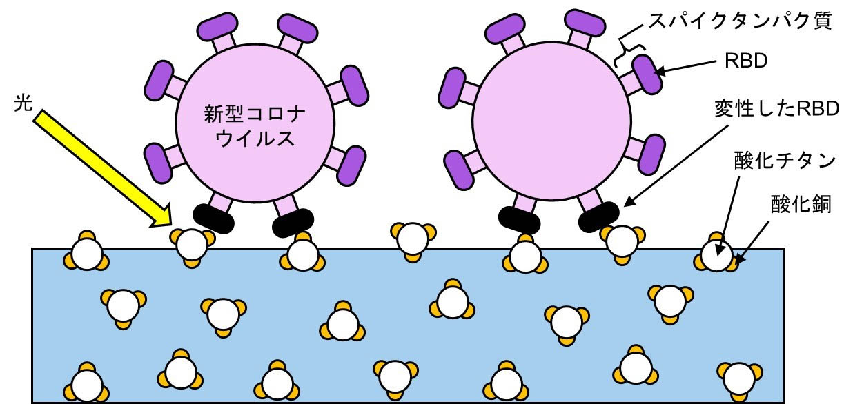 従来株での評価結果