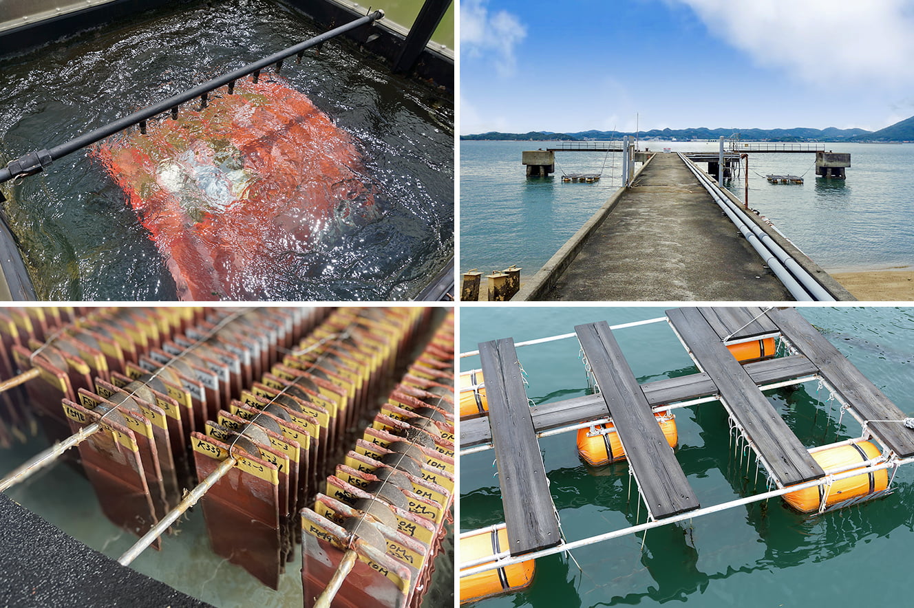 Performance evaluation of marine coatings using natural seawater