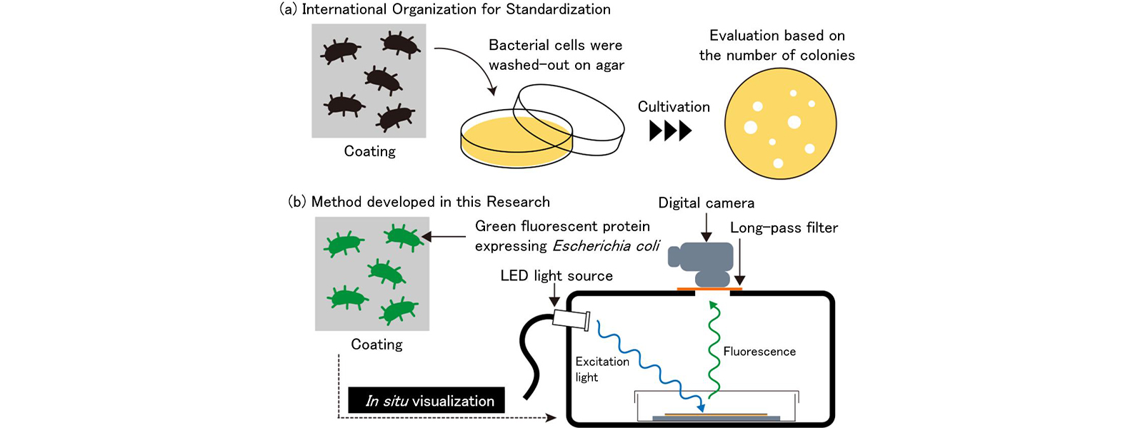 Figure 1: Evaluation Systems for Antibacterial Performance of Coatings