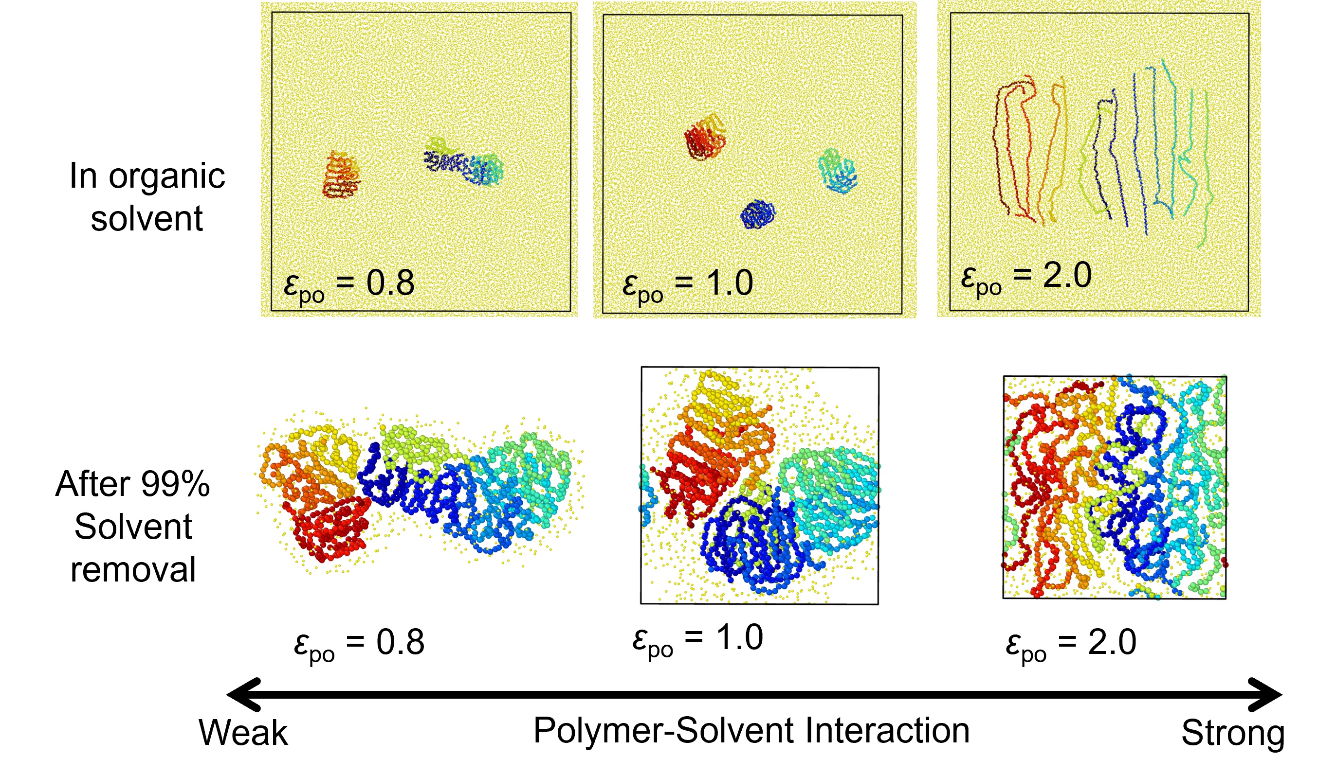 Figure 1: Polymer Dispersion in a Single Solvent and Its State After Solvent Removal