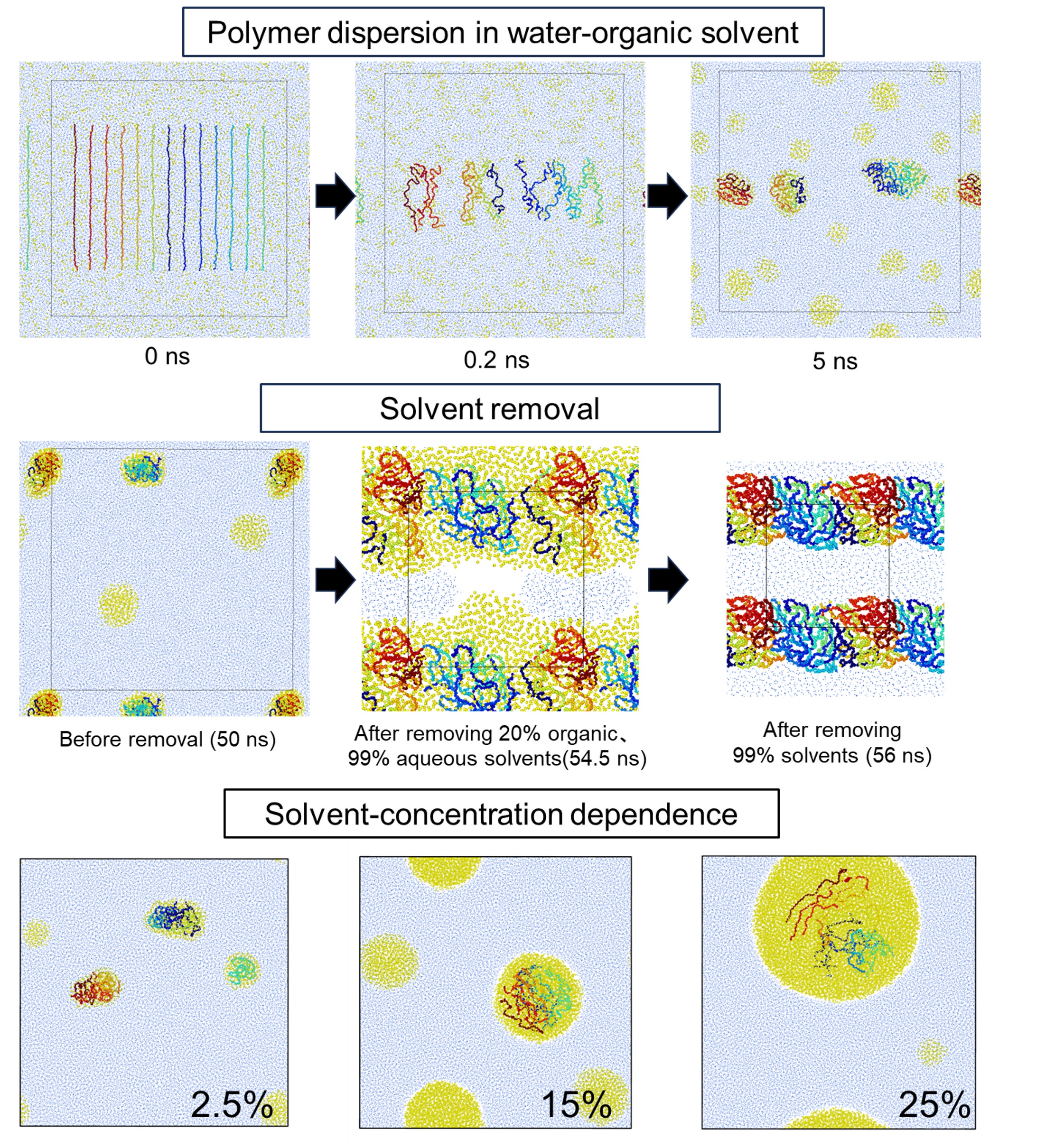 Figure 2: Polymer Dispersion and Aggregation in Water&ndash;Organic Solvent Mixtures and the Dependence of Polymer Dispersion on Organic Solvent Concentration