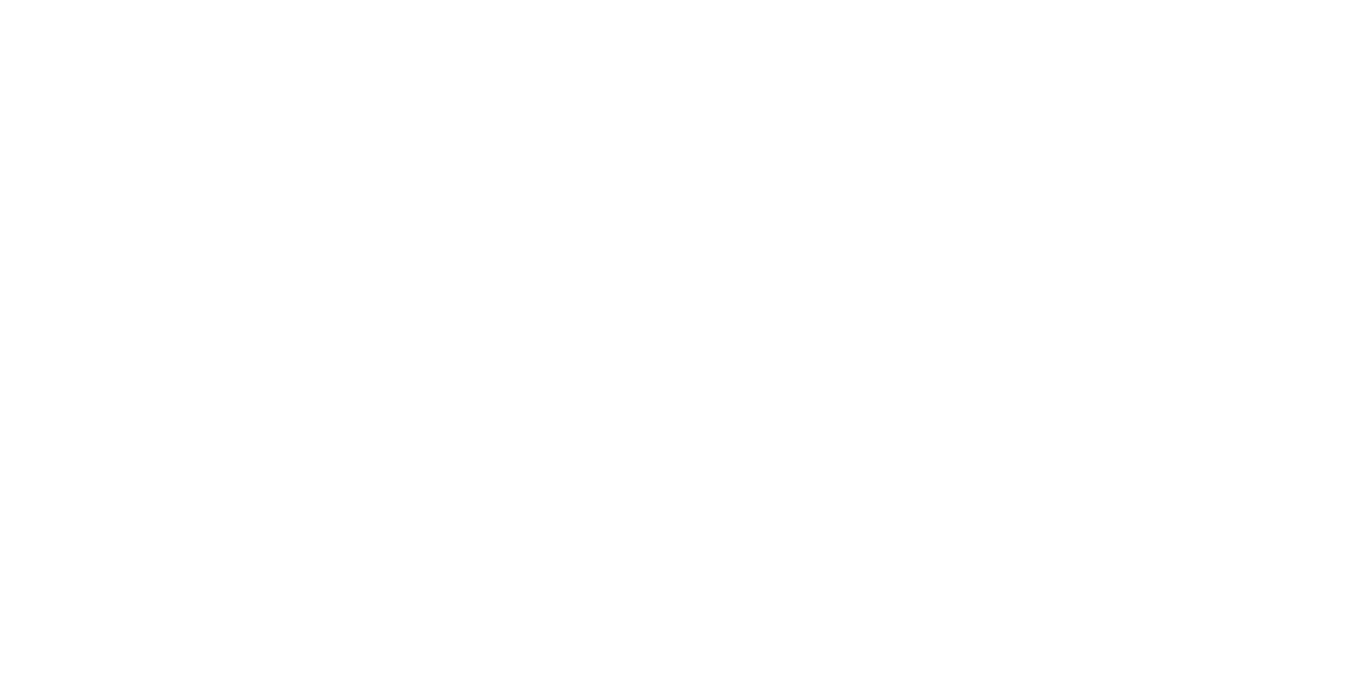 Our funding mix and/or