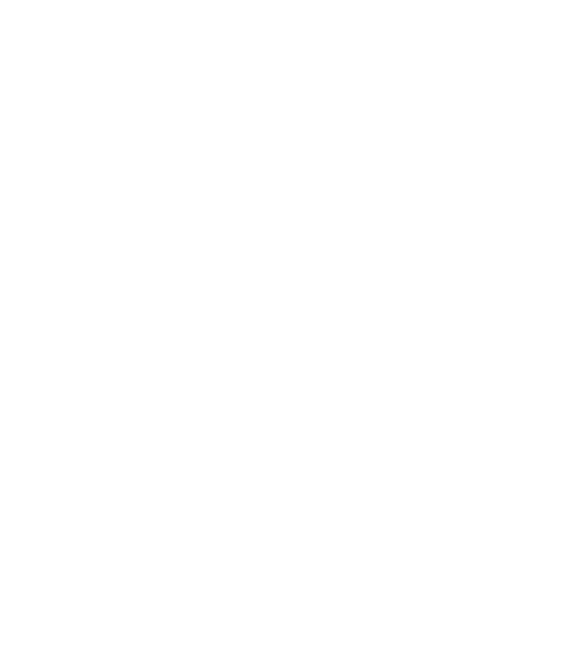 Our funding mix