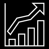 Revenue (2024)