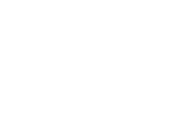 FY2025 revenue ¥119.0 bn