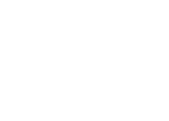 FY2024 revenue ¥203.1 bn
