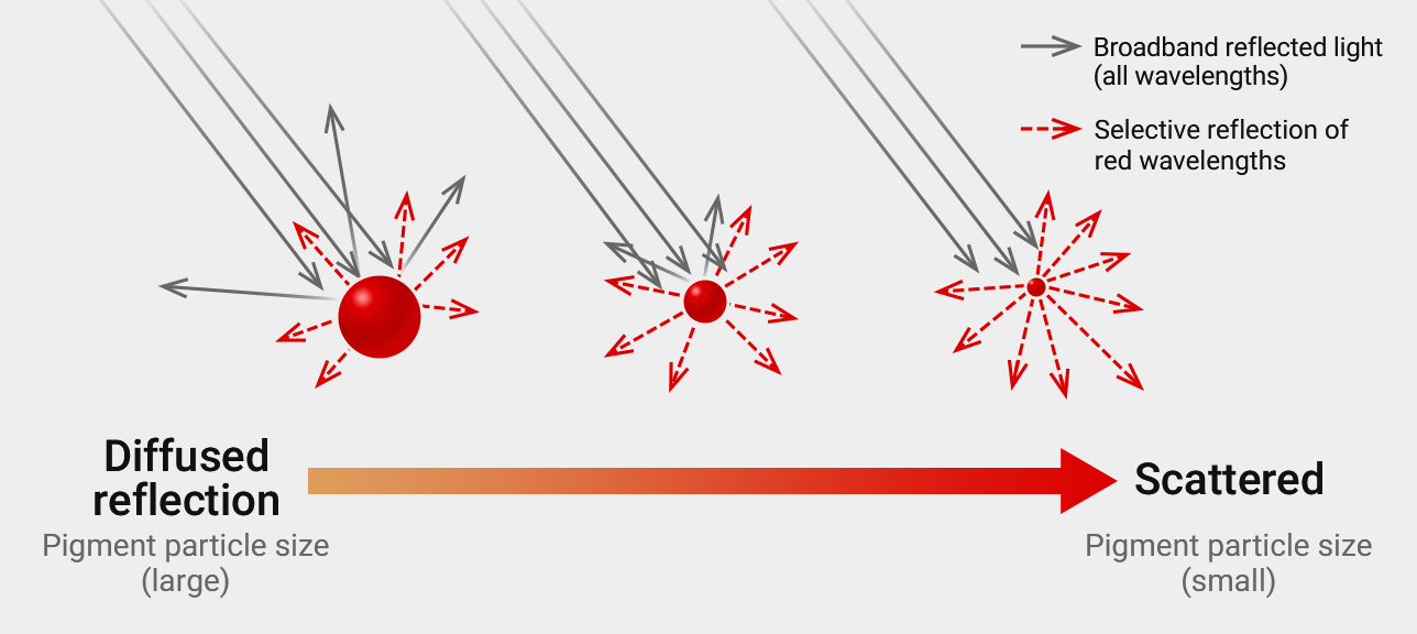 Schematic Illustration of Pigment Particle Size Effects on Light Scattering