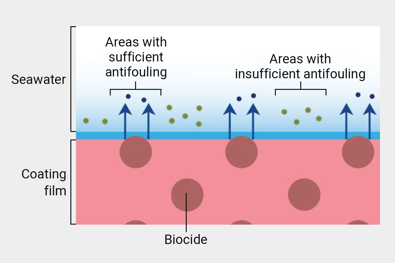 Antifouling Mechanism of Conventional Self-Polishing Coatings