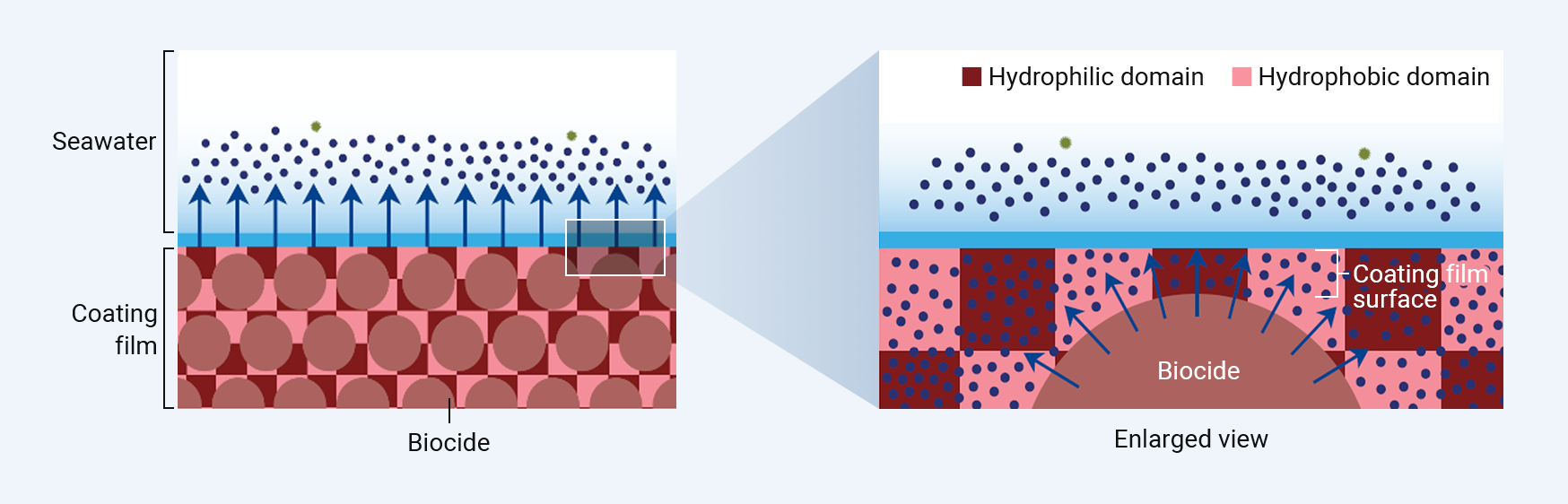 Image: Antifouling Mechanism of FASTAR