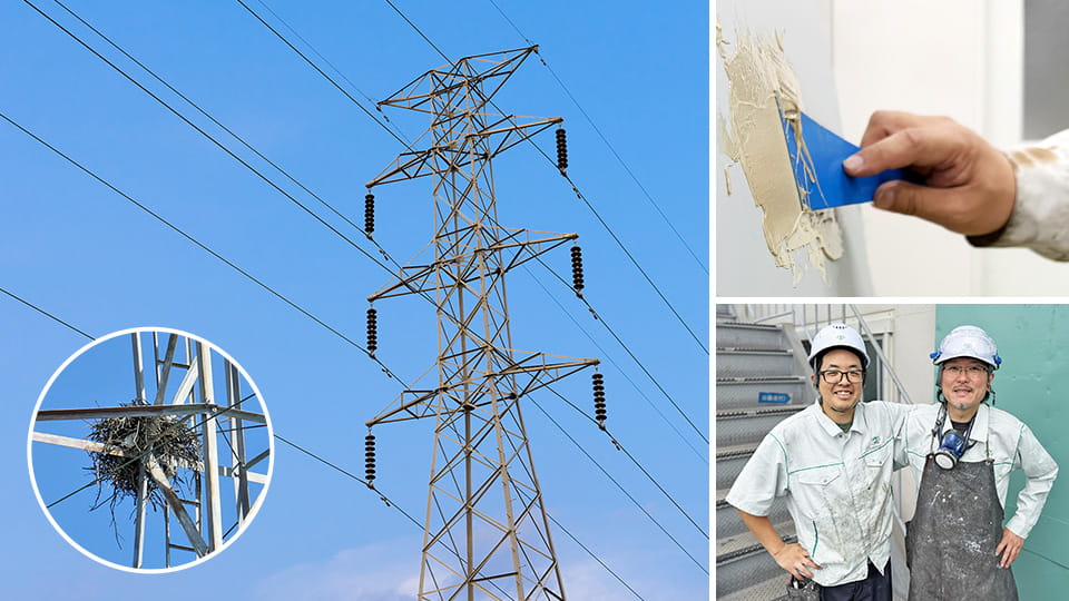 Development Story: How a Fresh Perspective Led to a Breakthrough–Behind the  Development of “Mizeron,” the Insulating Coating Safeguarding Power Infrastructure  from Bird Damage
