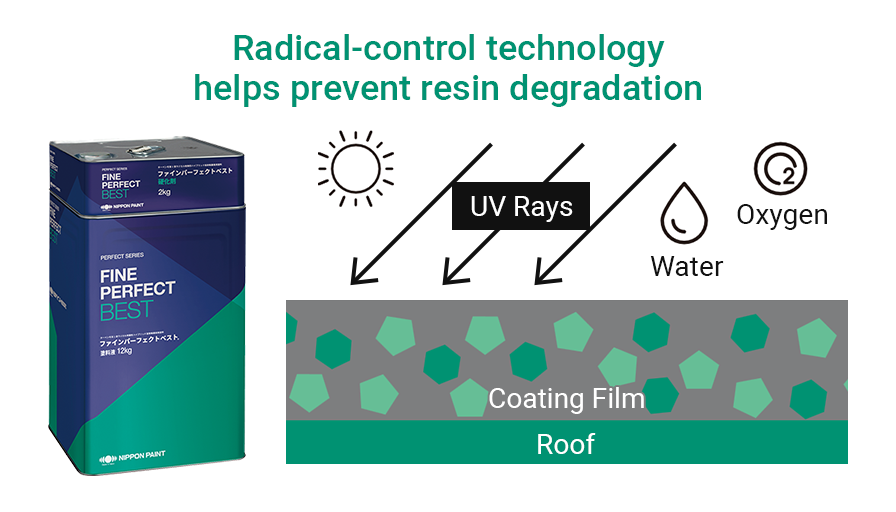 Coating Film Structure of Fine Perfect Best