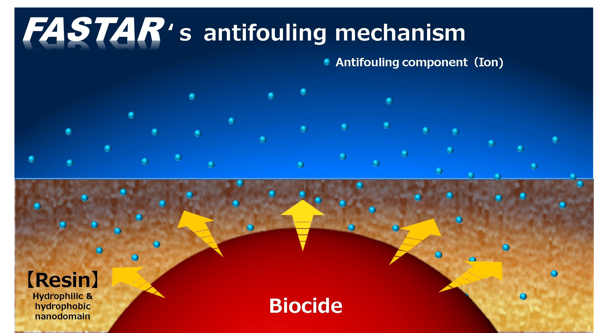 FASTAR’s Antifouling Mechanism