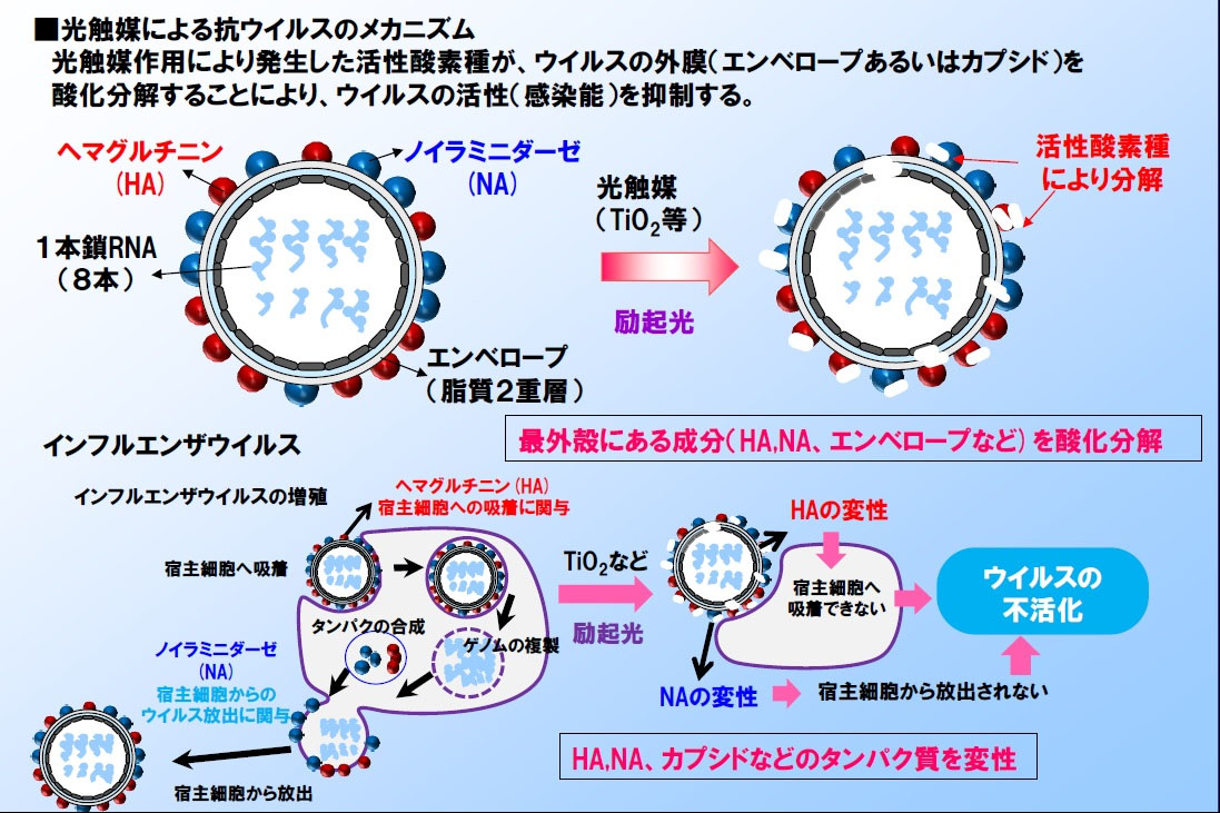 Mechanism of photocatalysis