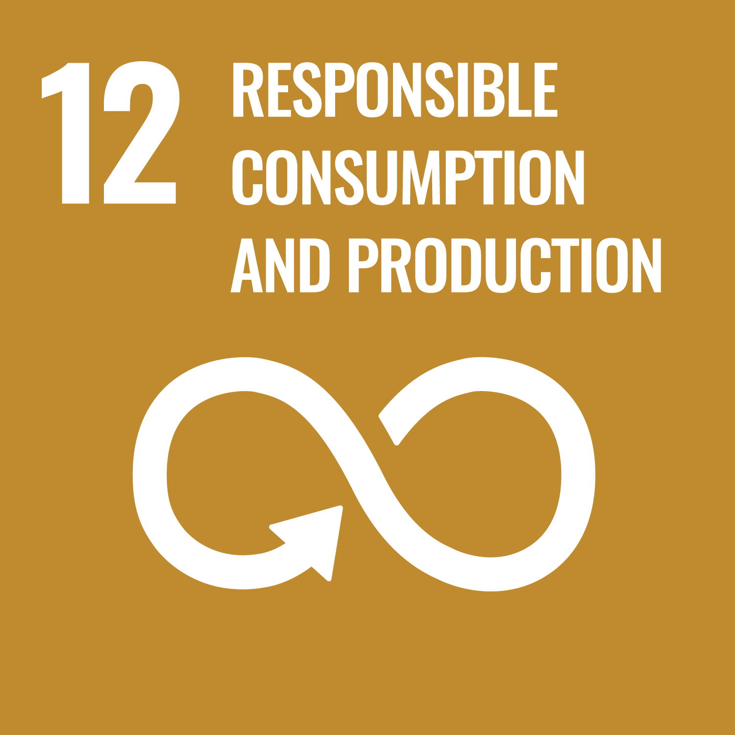 sdgs_icon_12