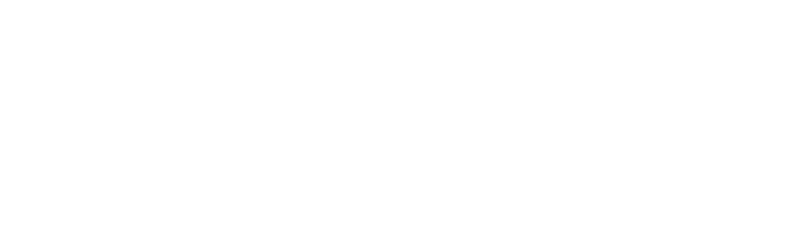 Going beyond paint and into adjacencies Paint++