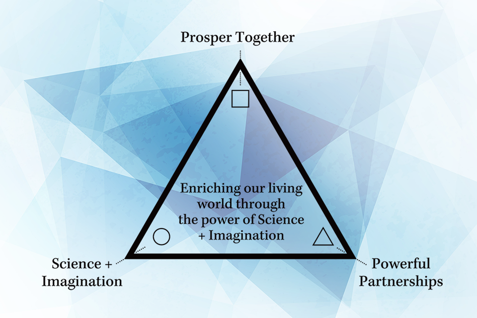 Image: Purpose