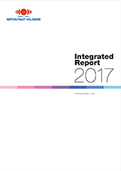 Integrated Report 2017