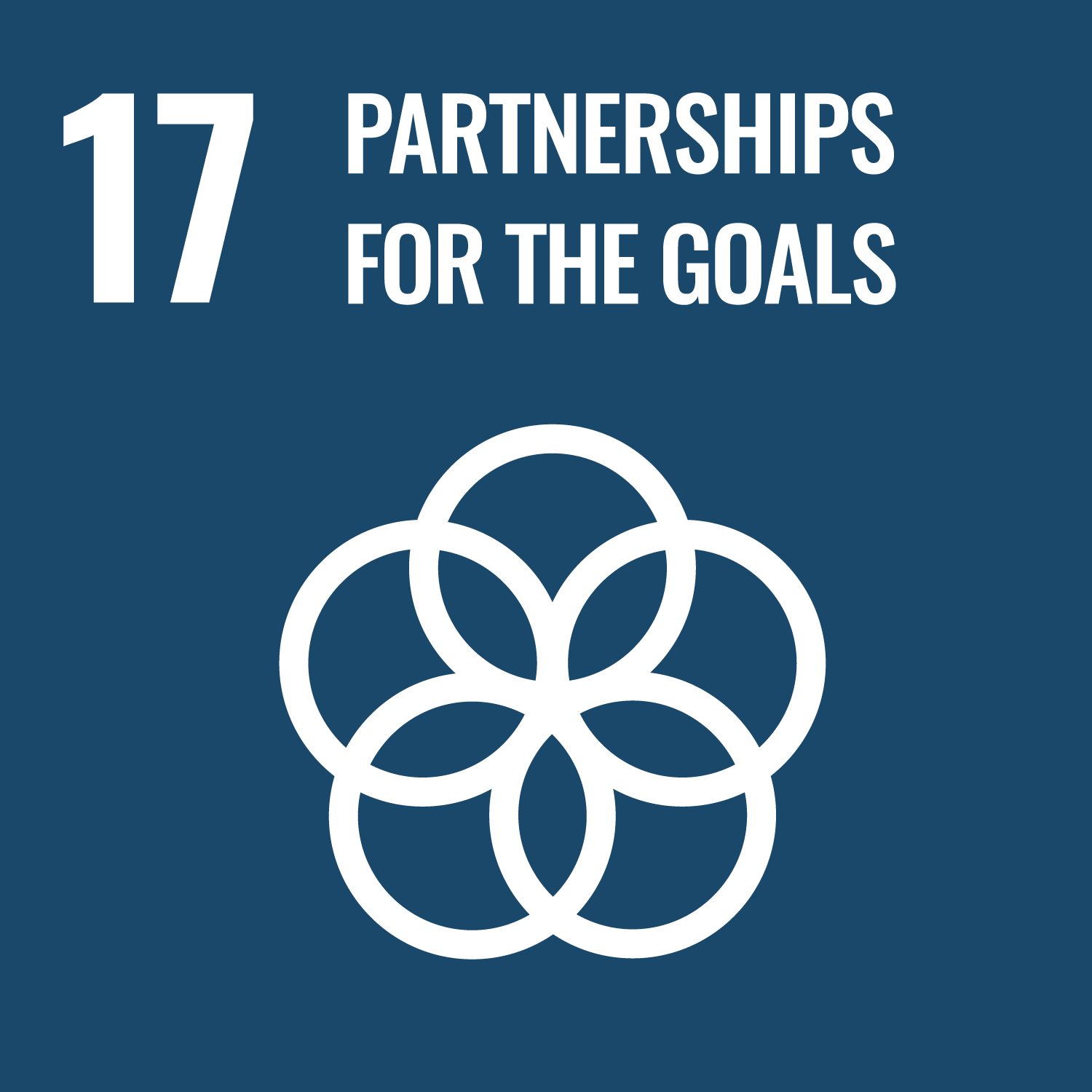 sdgs_icon_17