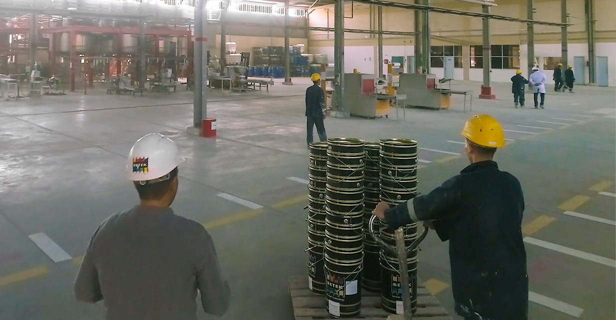 Photo of EGYPT Plant