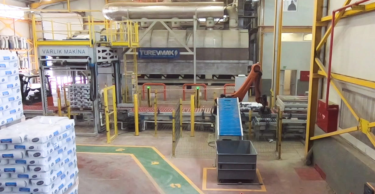 Photo of RIZE Plant