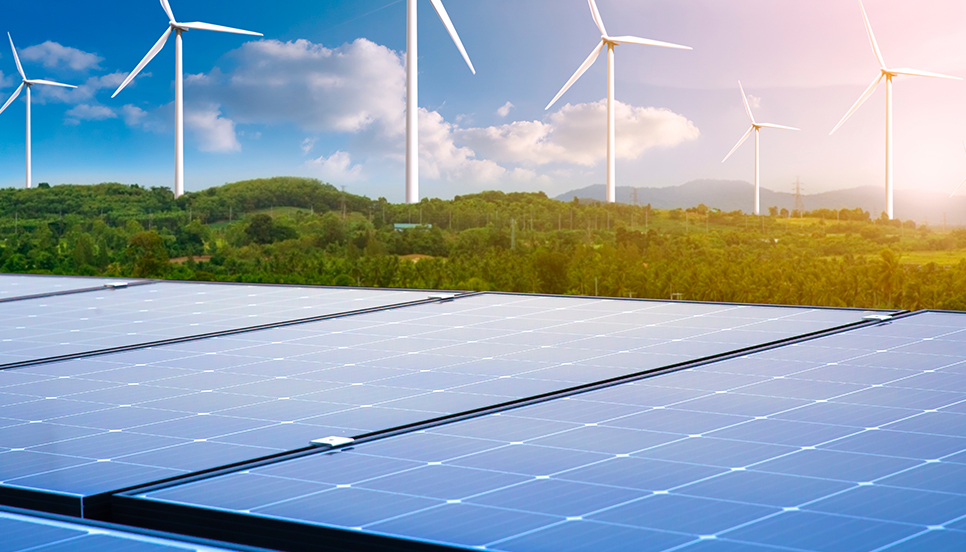 Examples of NIPSEA Group Environment Initiatives