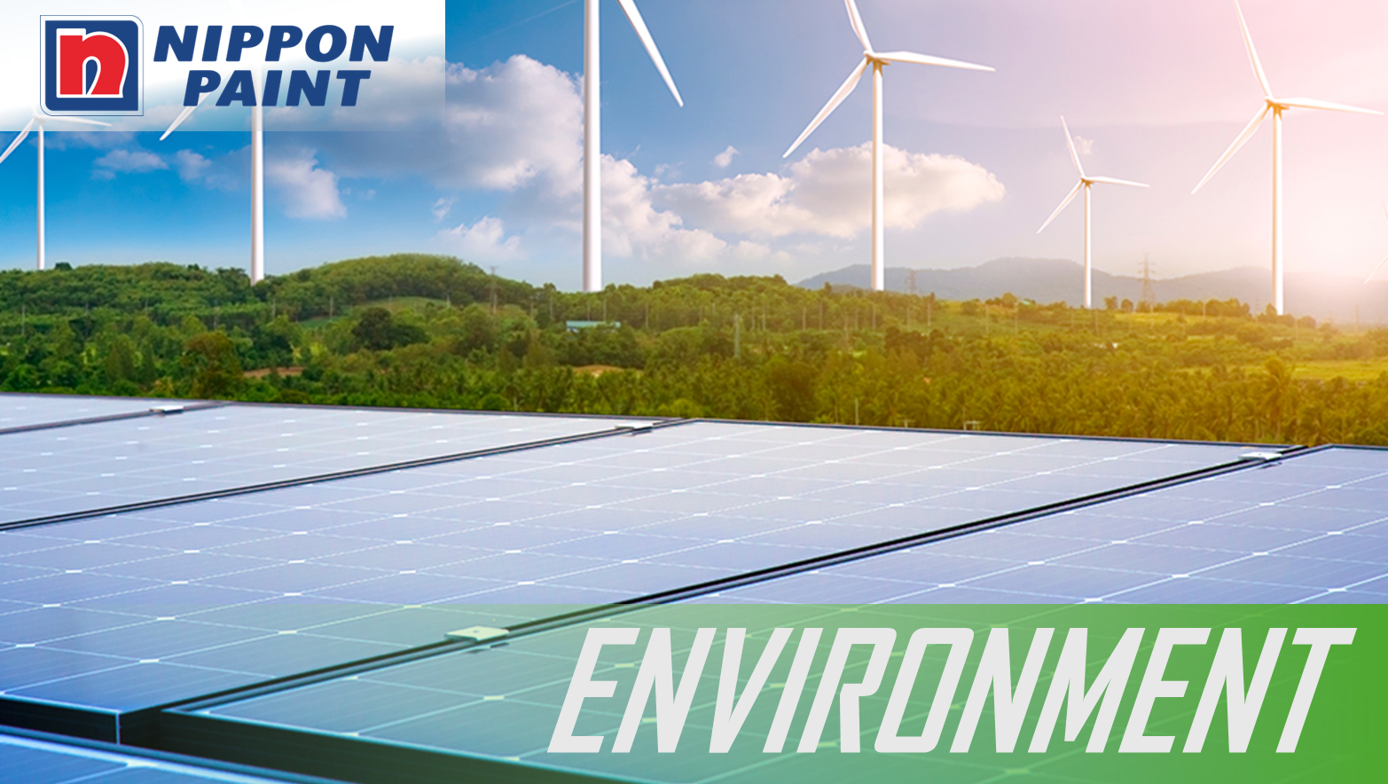 Examples of NIPSEA Group Environment Initiatives
