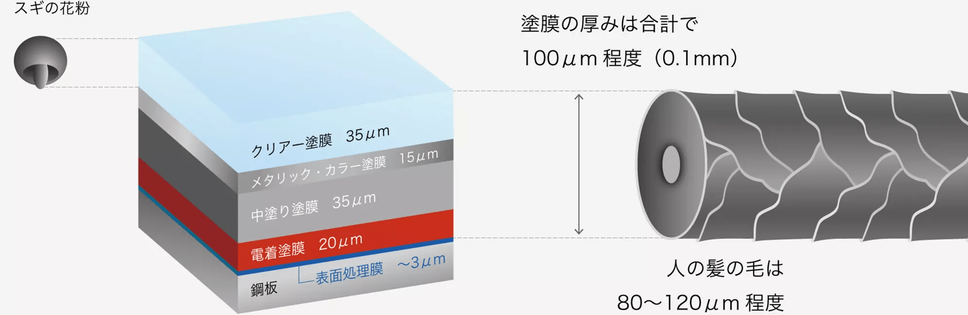 塗膜構造例
