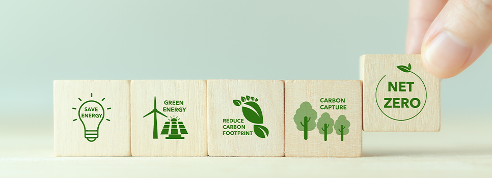Roadmaps of Sustainability Teams