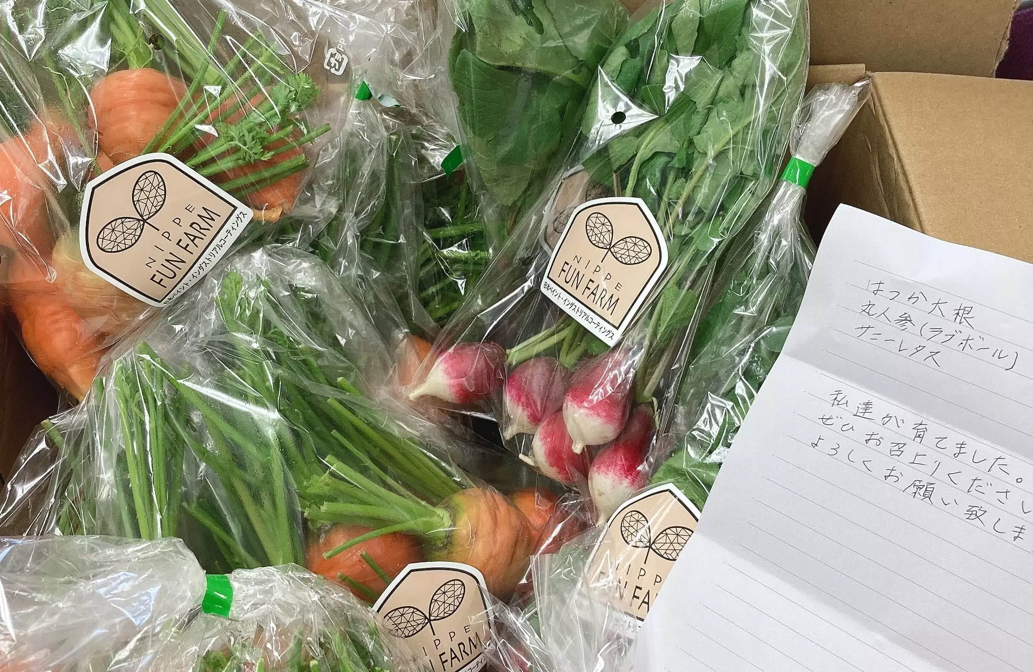 Vegetables donated to the children's cafeterias