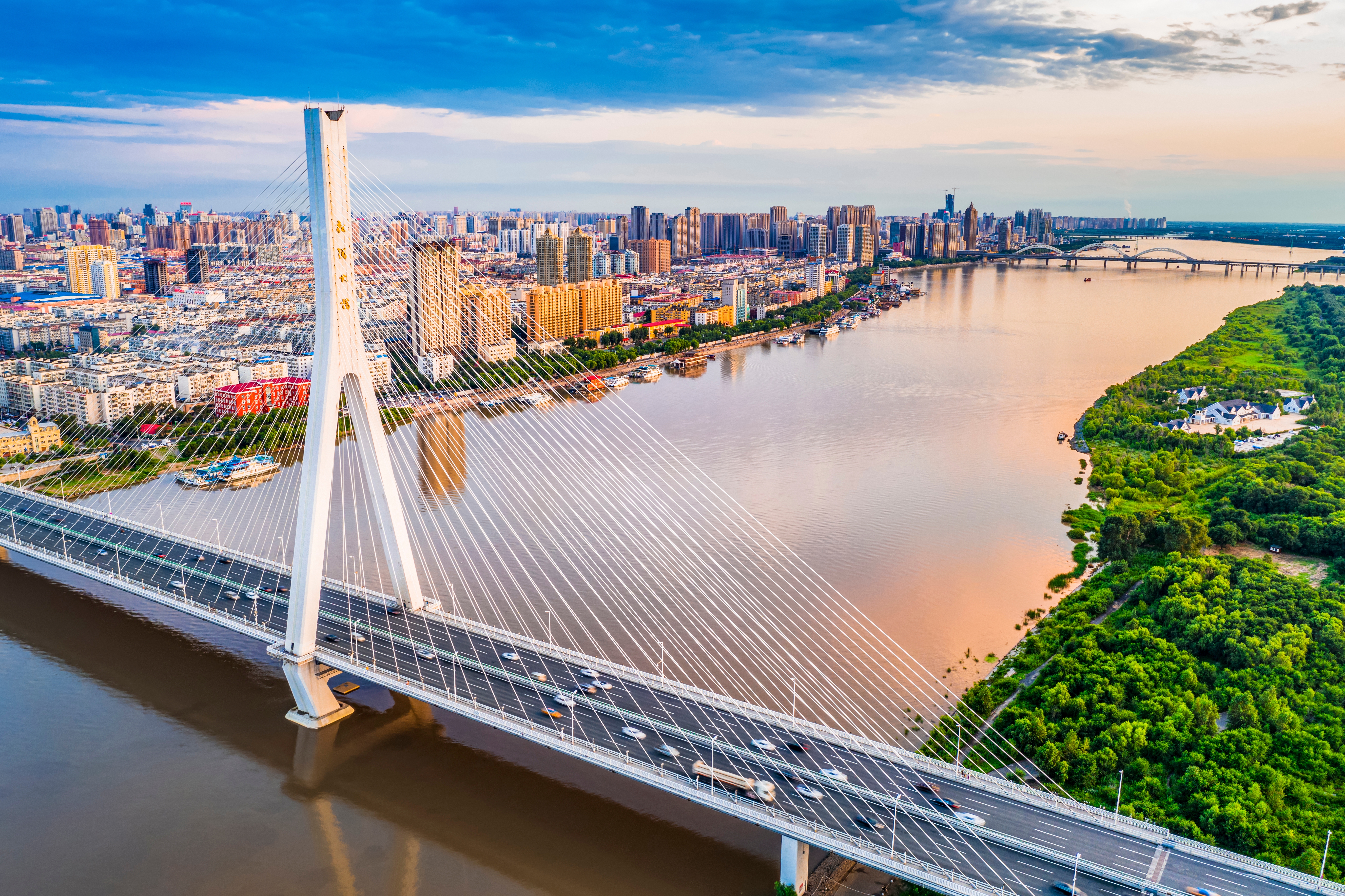 Environmental Pollution