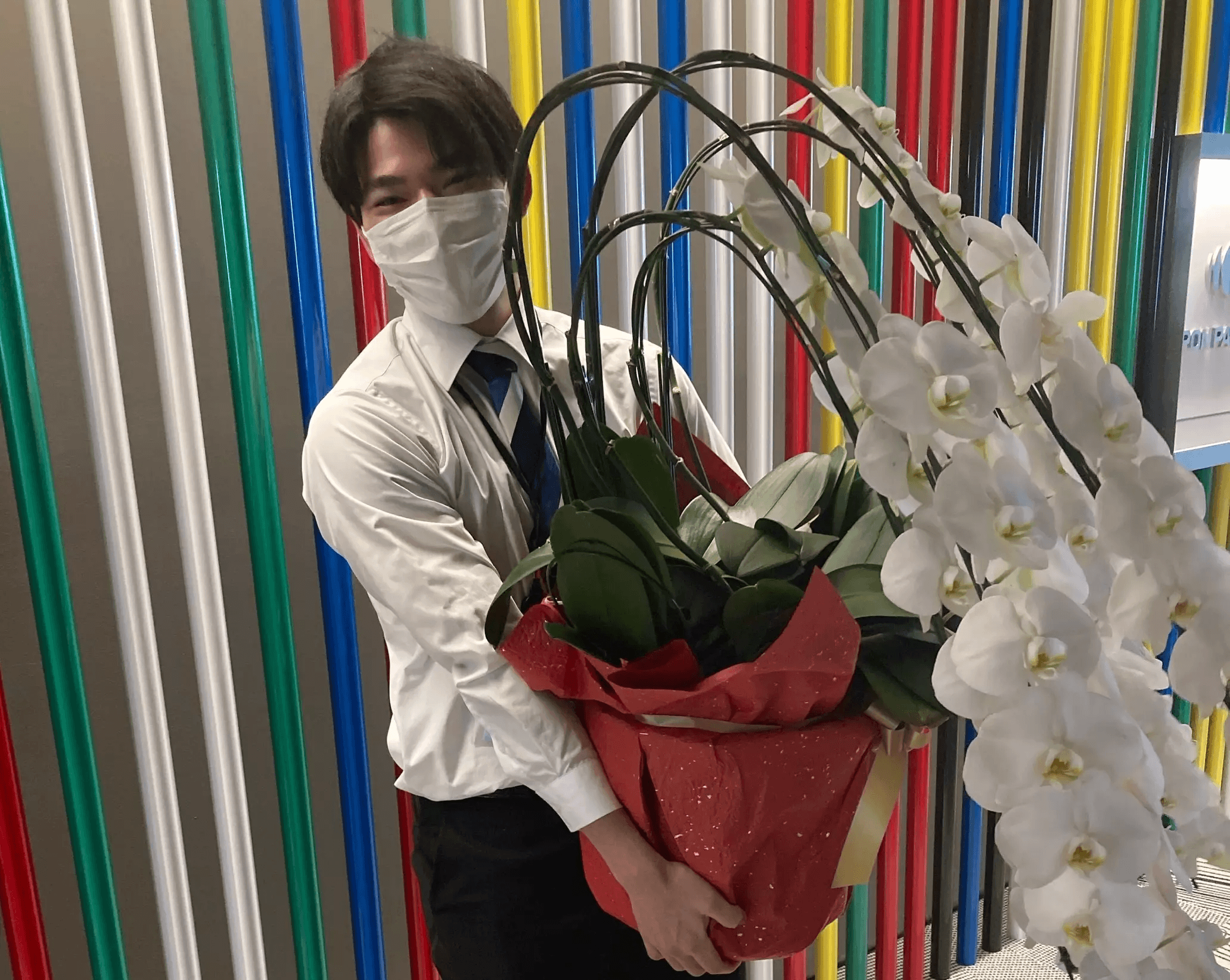 お祝いとして頂戴した胡蝶蘭を福祉施設に寄付