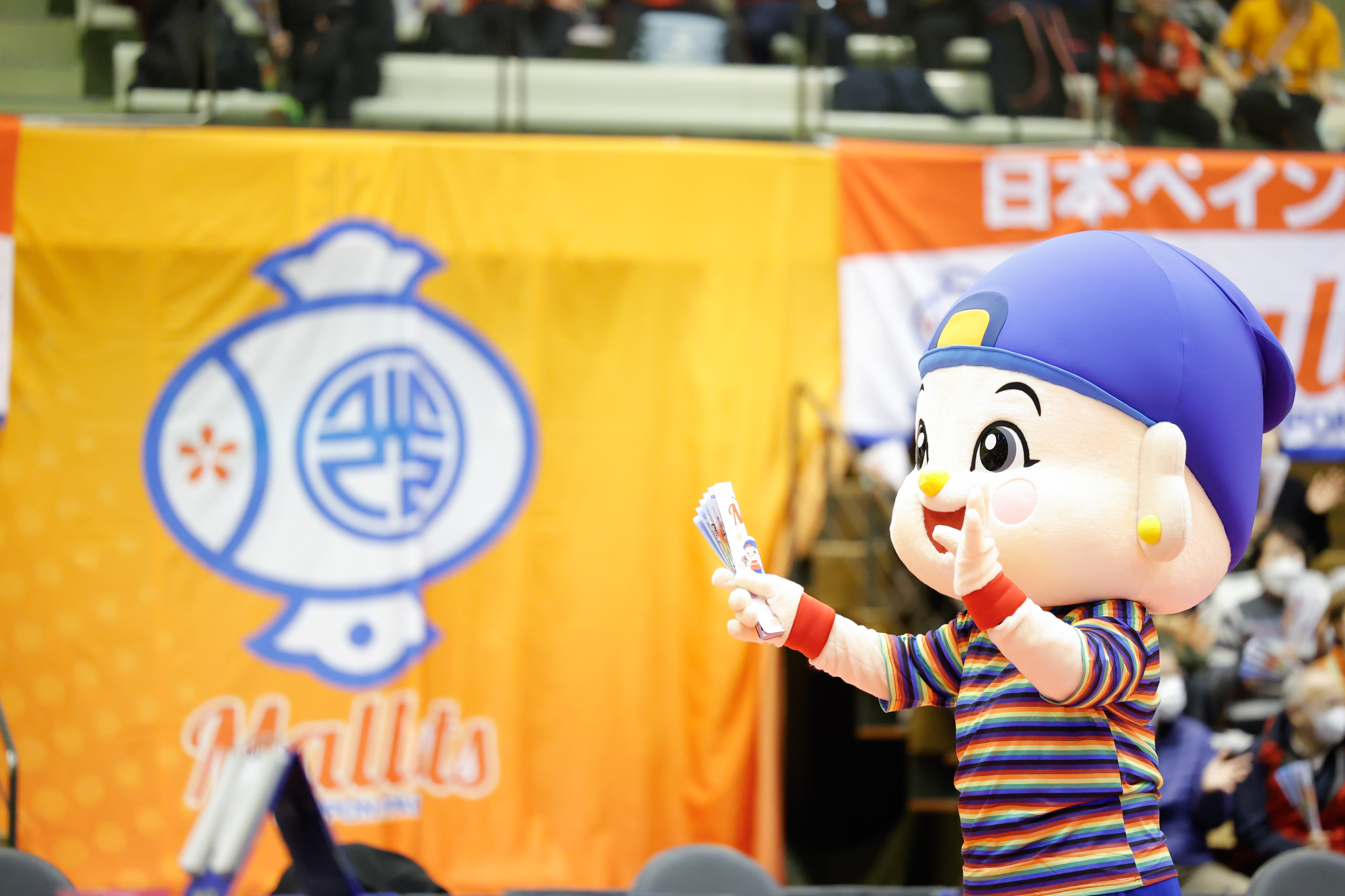マレットちゃん