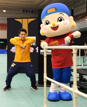 マレットちゃん